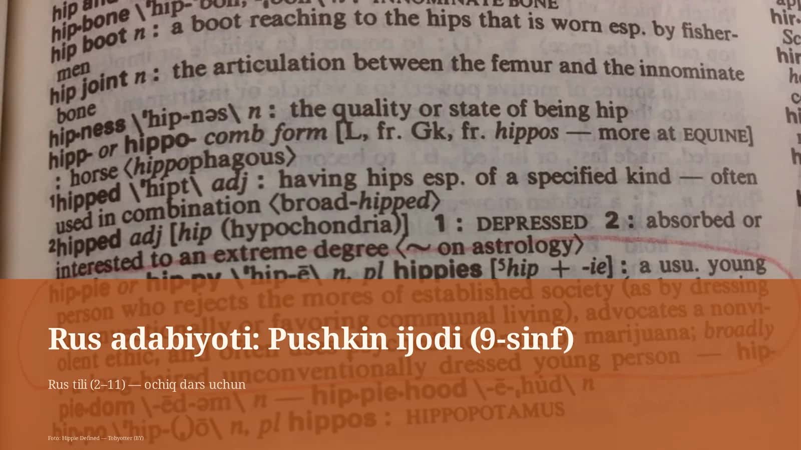Rus adabiyoti: Pushkin ijodi (9-sinf)