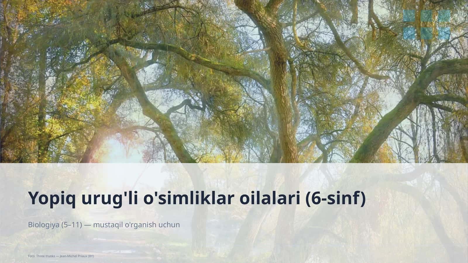 Yopiq urug'li o'simliklar oilalari (6-sinf)