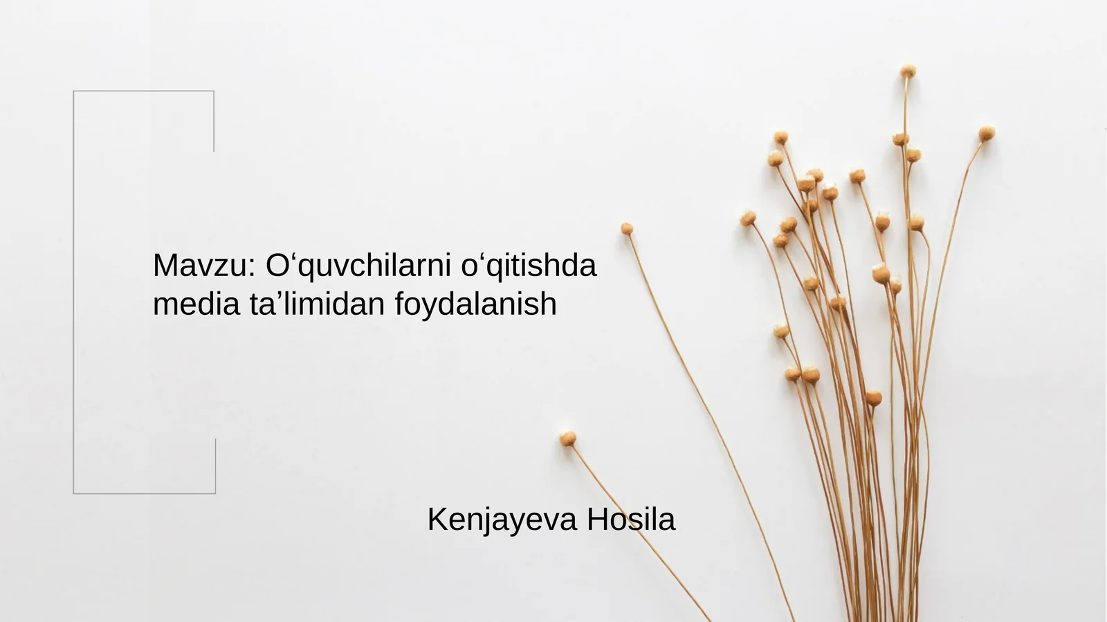 Multimediy vositalari (multimedia – ko’pvositalilik)