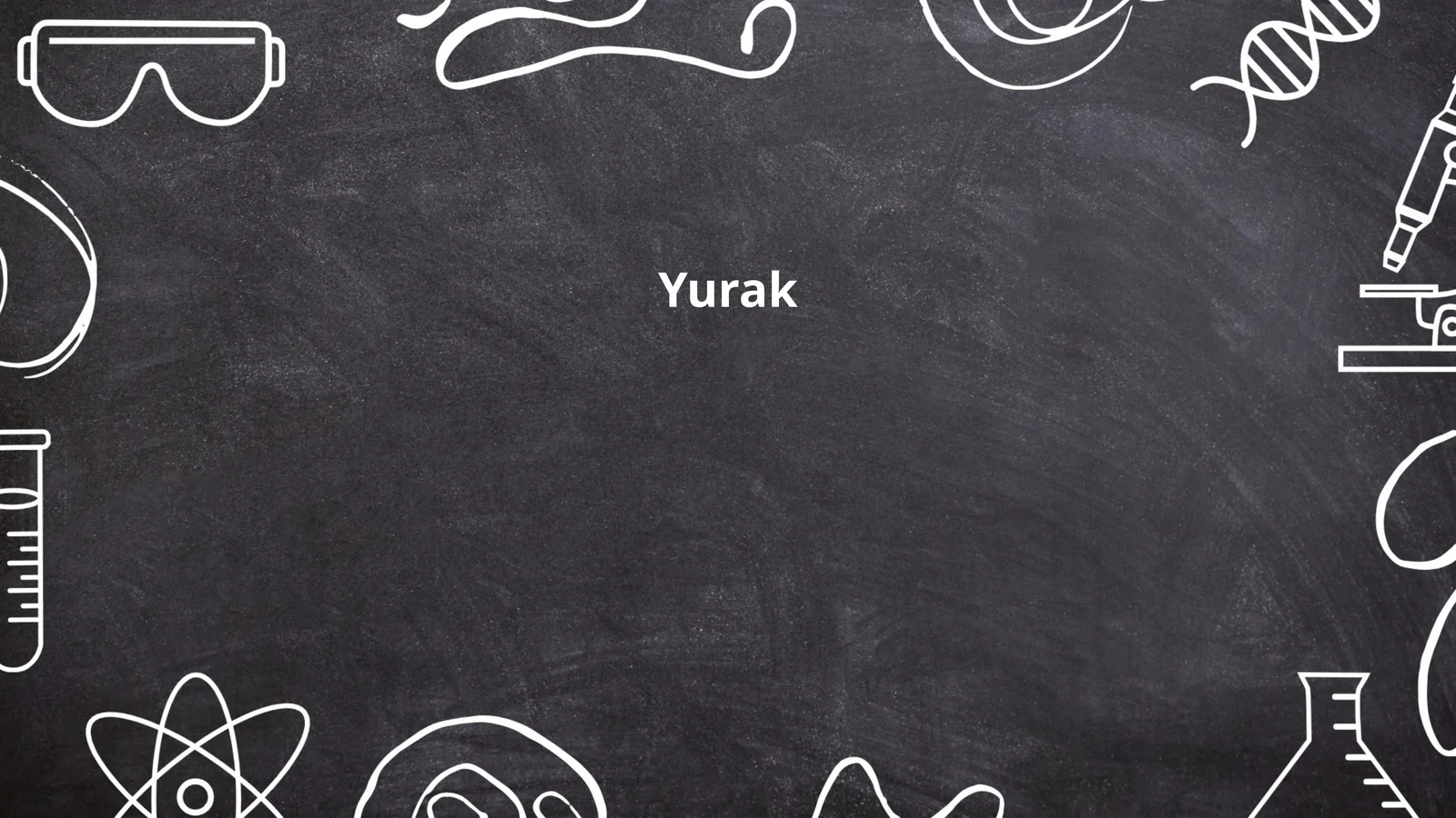 Yurak anatomiyasi