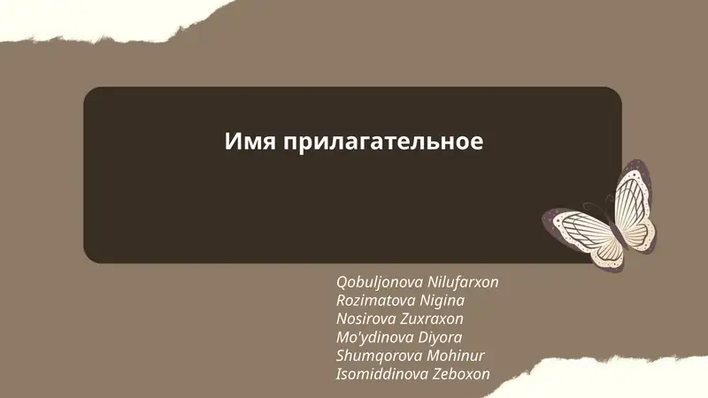 Имя прилагательное