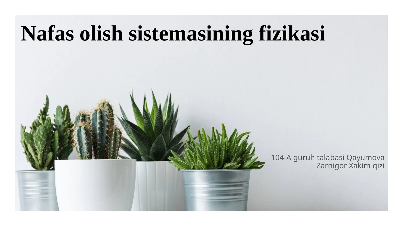 Nafas olish sistemasining fizikasi