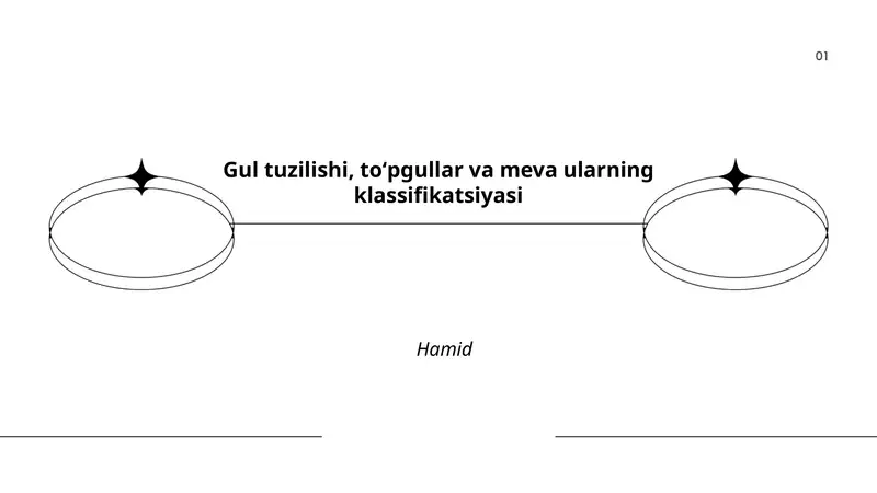 Gulning tashqi va ichki tuzilishi