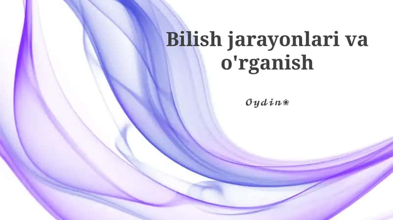 O'rganish jarayonlari va bilimni qo'llash