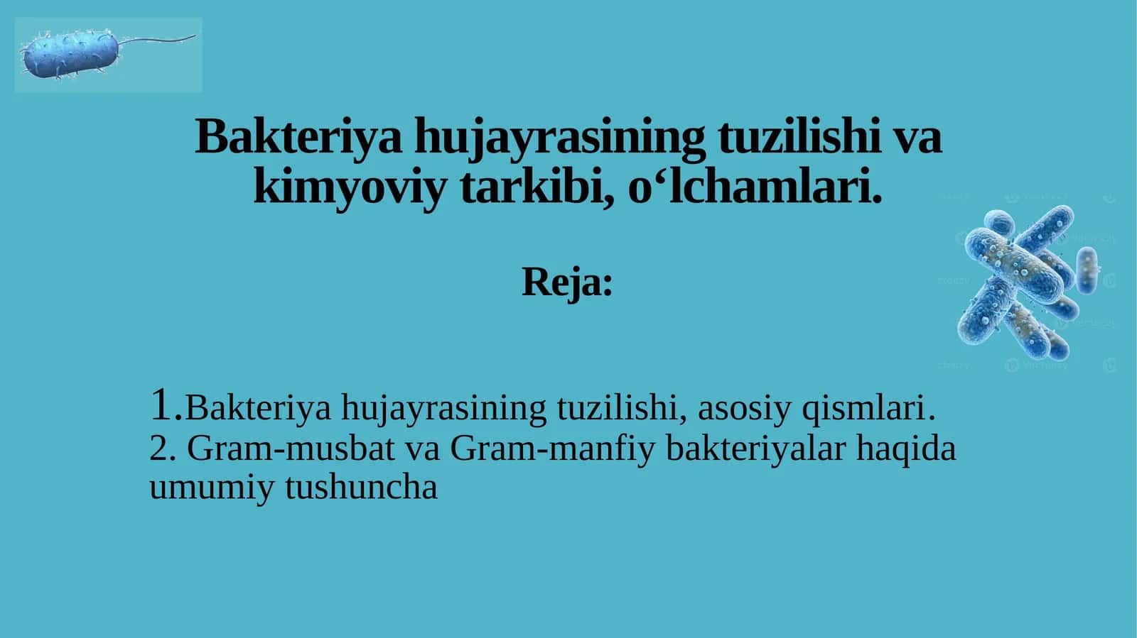 Bakteriya hujayrasi kimyoviy tarkibi