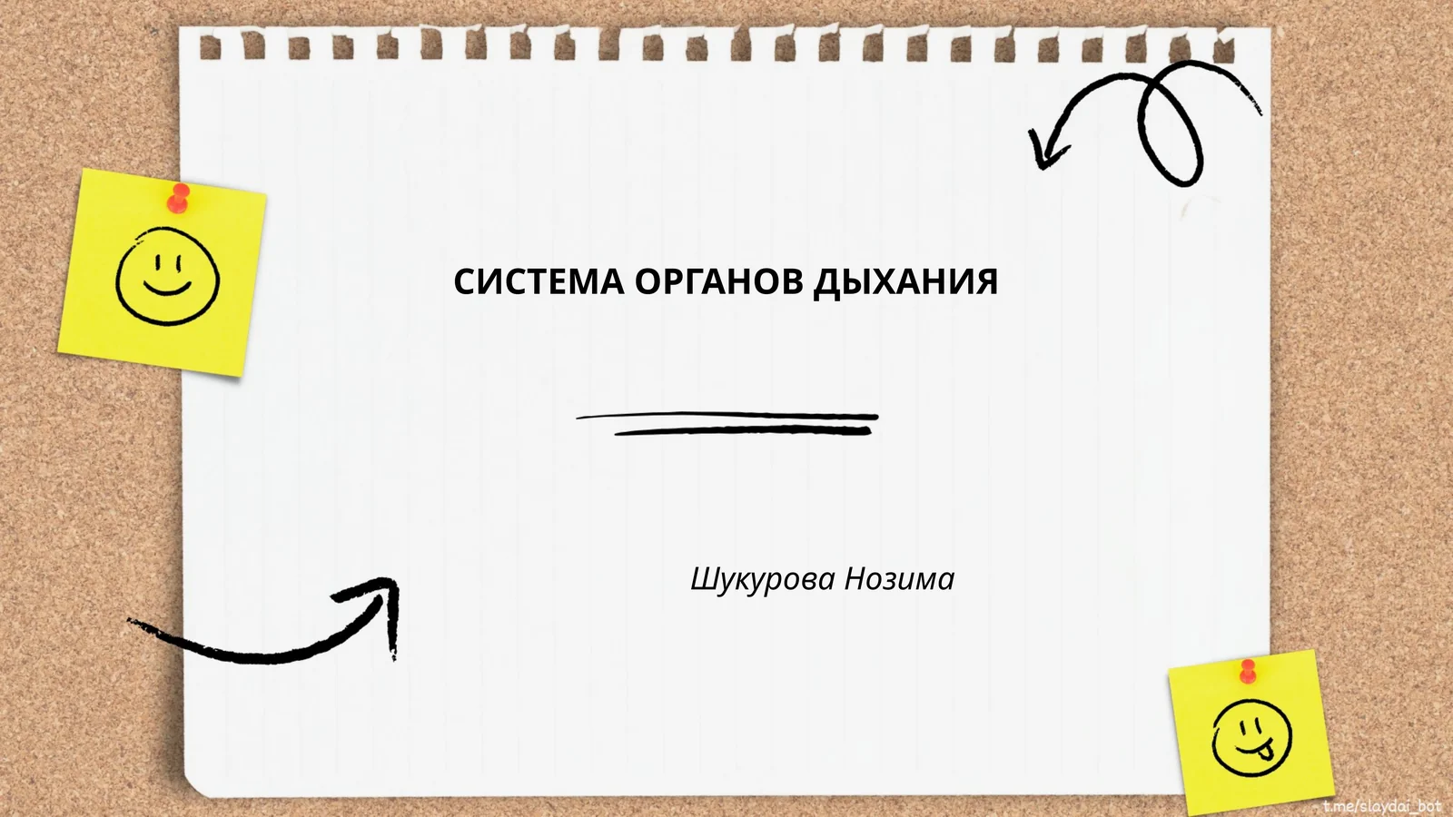 СИСТЕМА ОРГАНОВ ДЫХАНИЯ