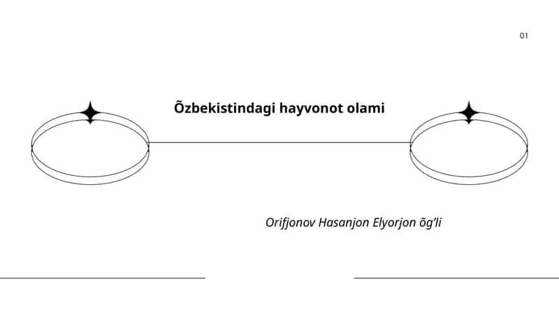 Oʻzbekistindagi hayvonot olami