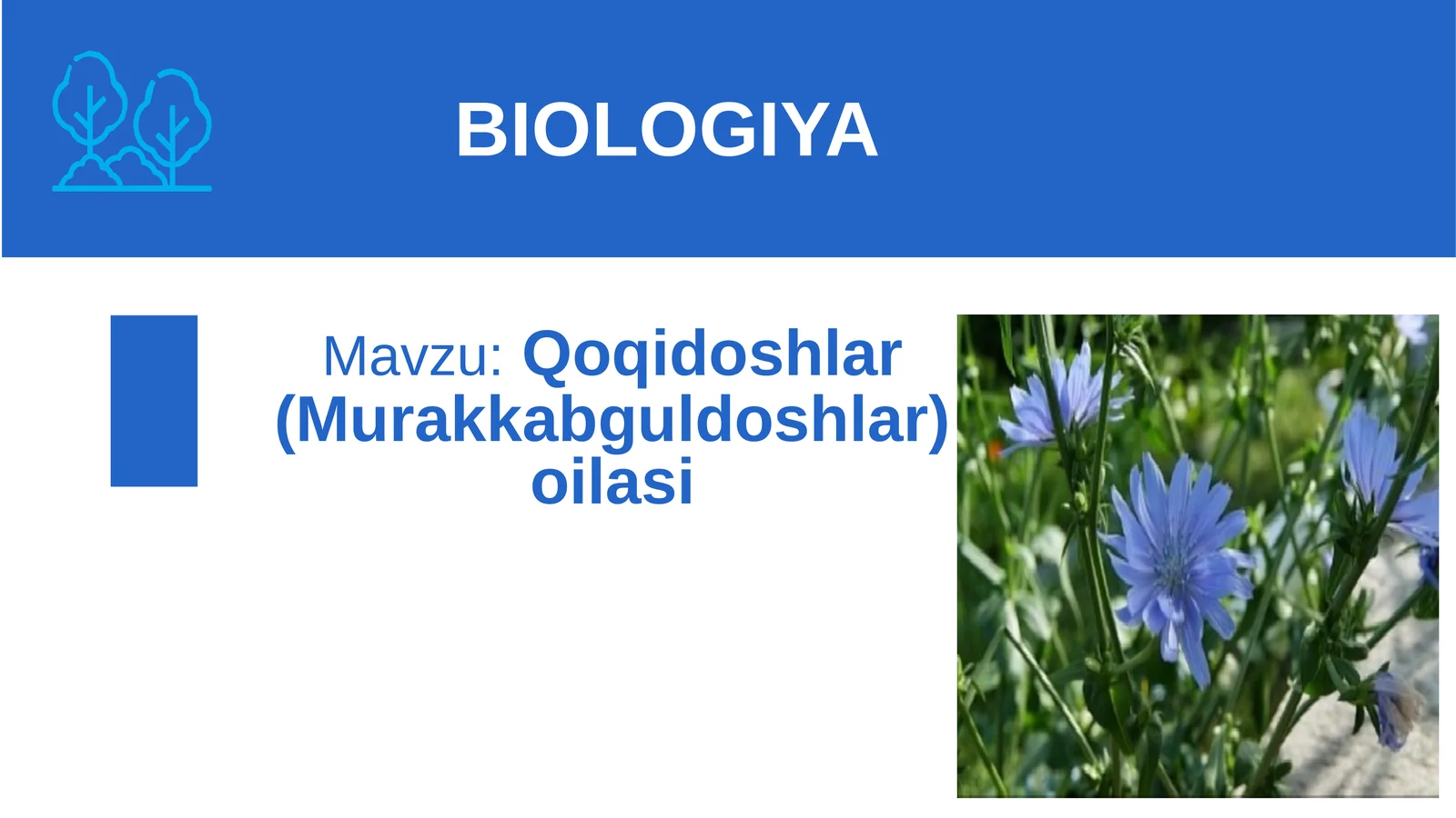 Qoqidoshlar