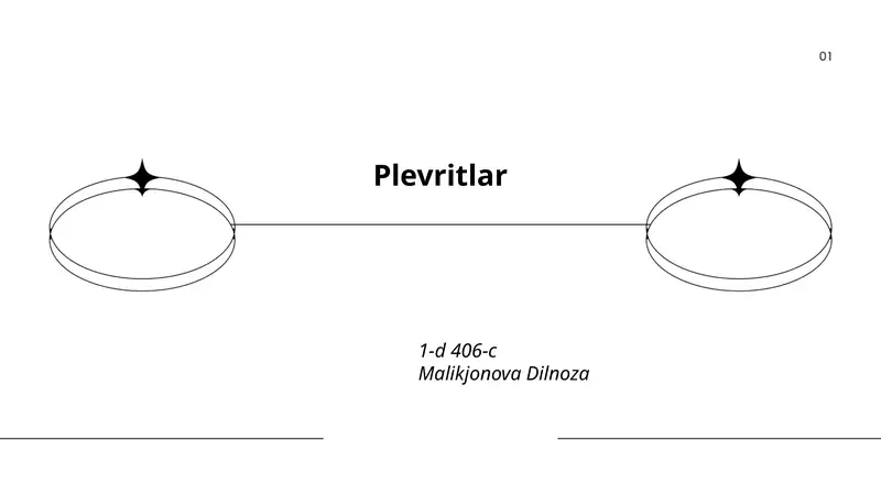 Plevritlar