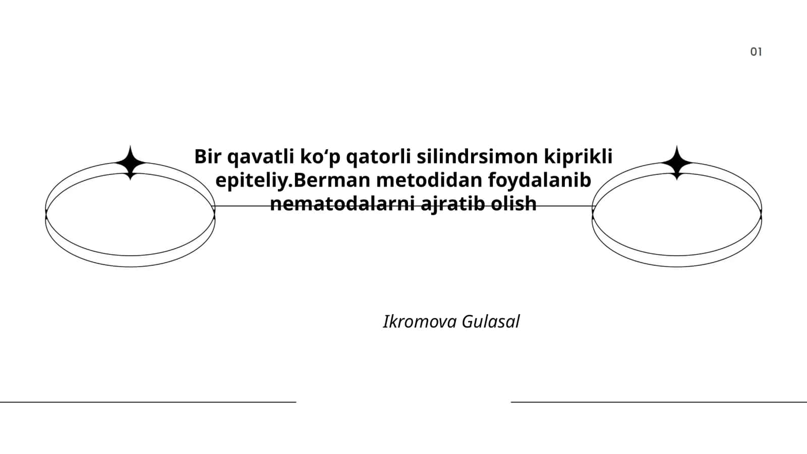 Bir qavatli koʻp qatorli silindrsimon epiteliy anatomiyasi