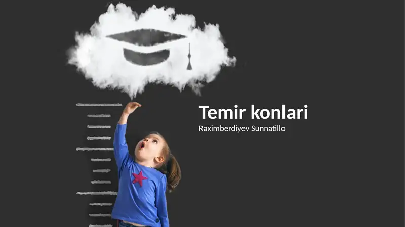 Temir konlari