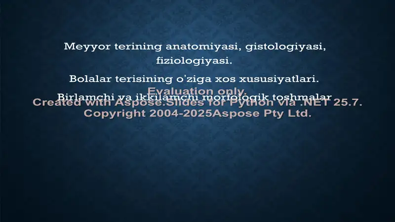Meyyor terining anatomiyasi, gistologiyasi, fiziologiyasi
