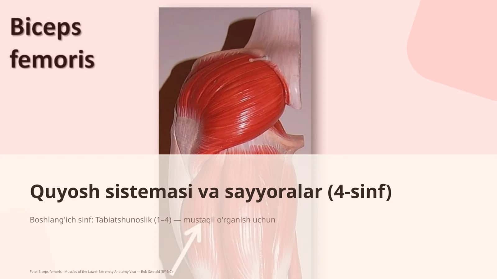 Quyosh sistemasi va sayyoralar (4-sinf)