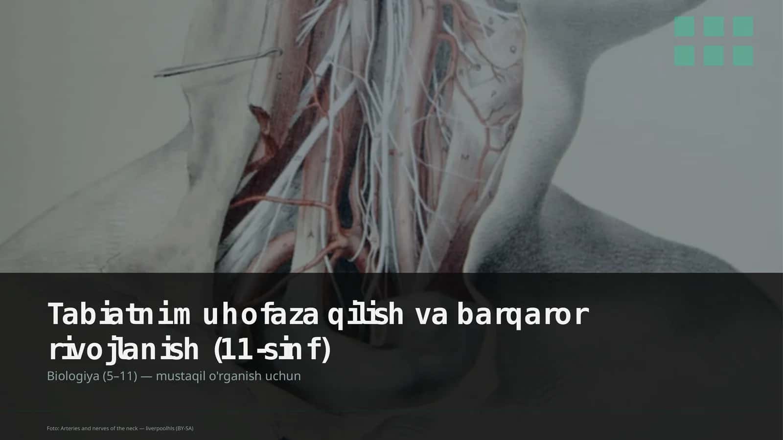 Tabiatni muhofaza qilish va barqaror rivojlanish (11-sinf)