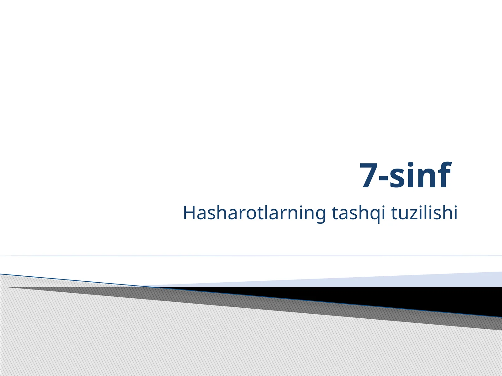 Hasharotlarning tashqi tuzilishi