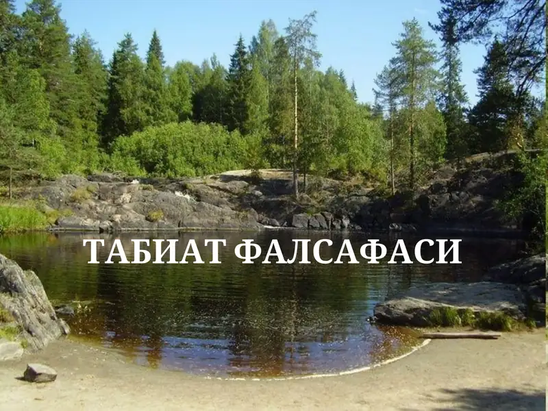 ТАБИАТ ФАЛСАФАСИ