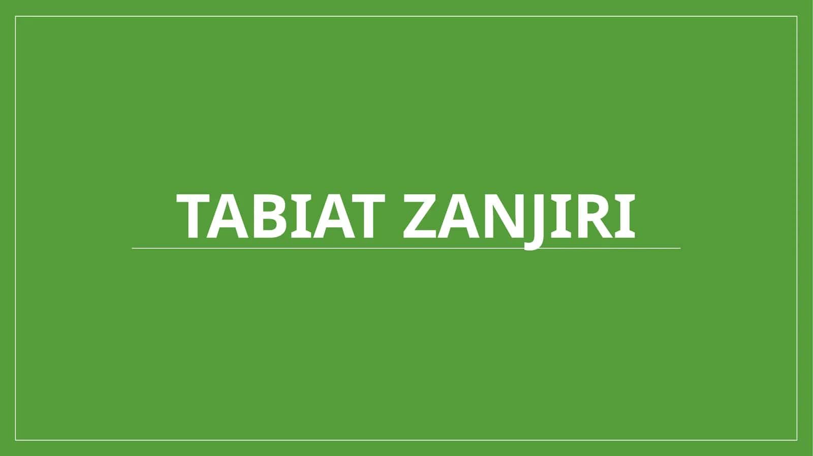 Tabiatzanjiri