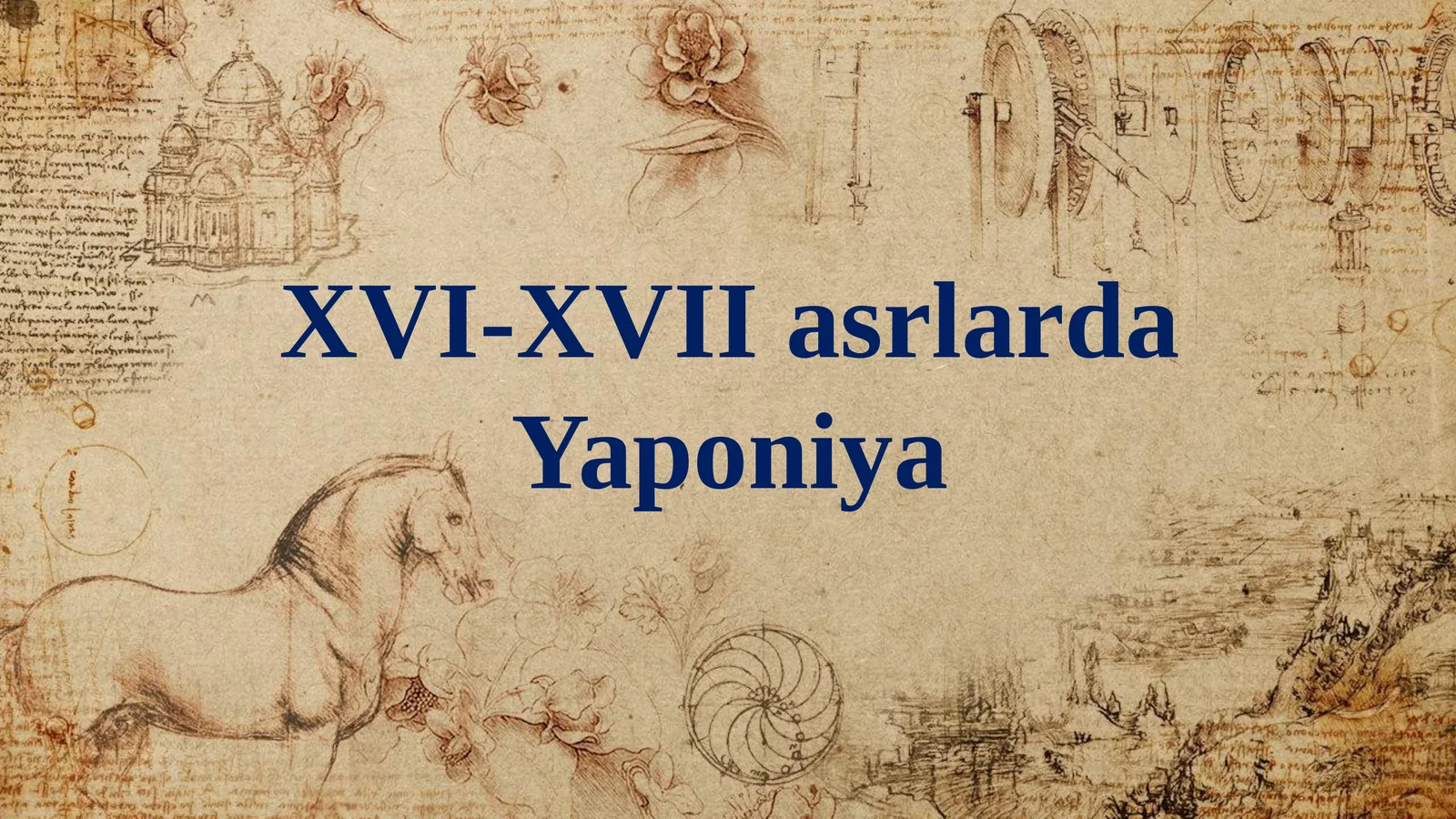 XVI-XVII asrlarda Yaponiya
