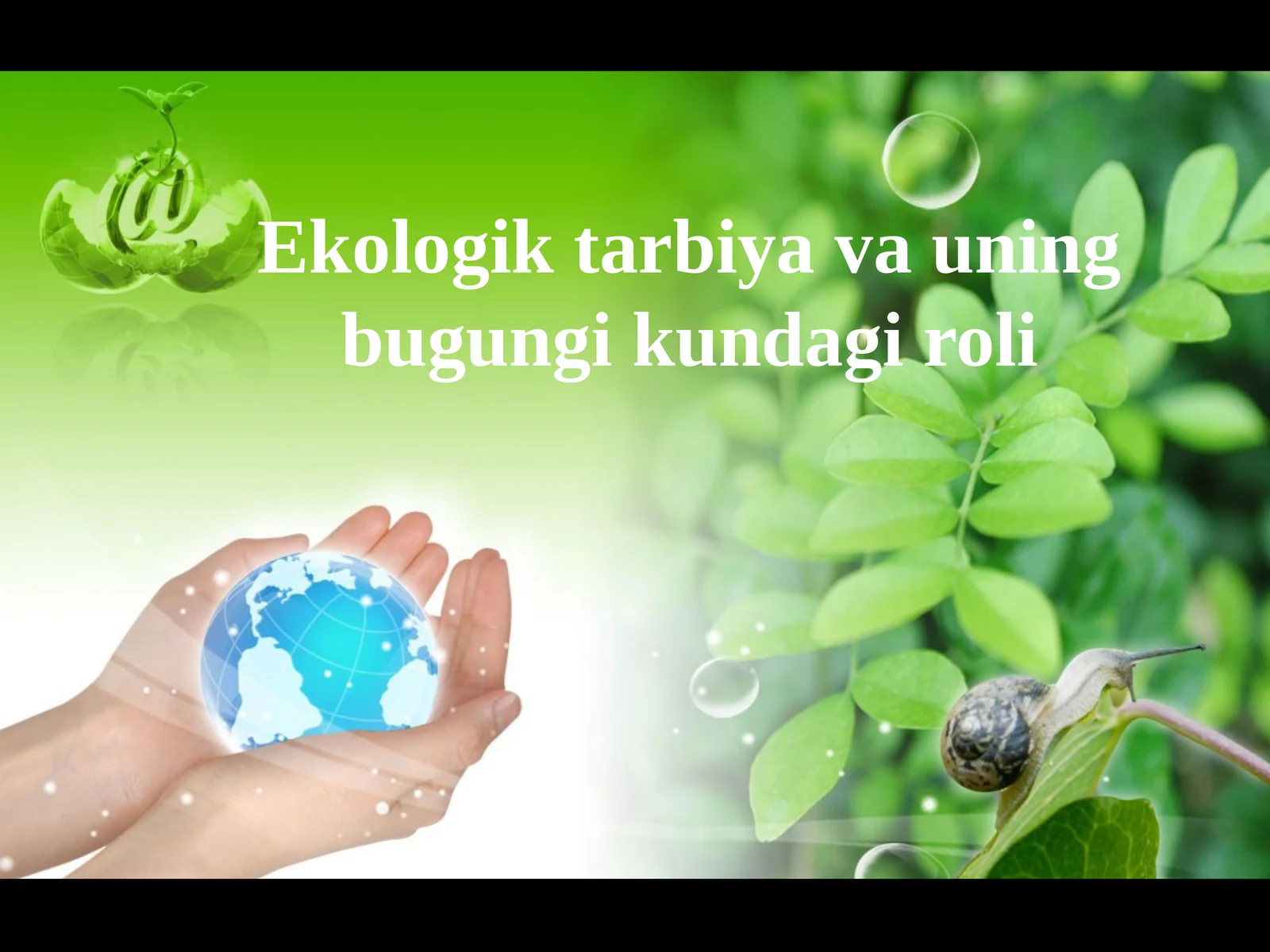 Ekologik tarbiya va uning bugungi kundagi roli