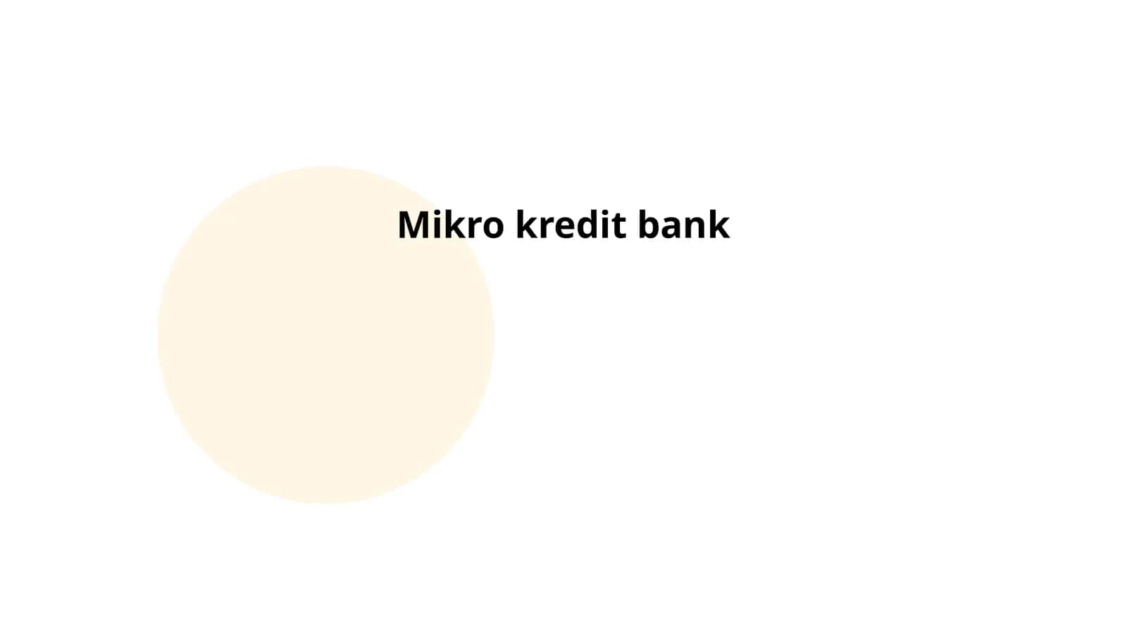 Mikro kredit bank