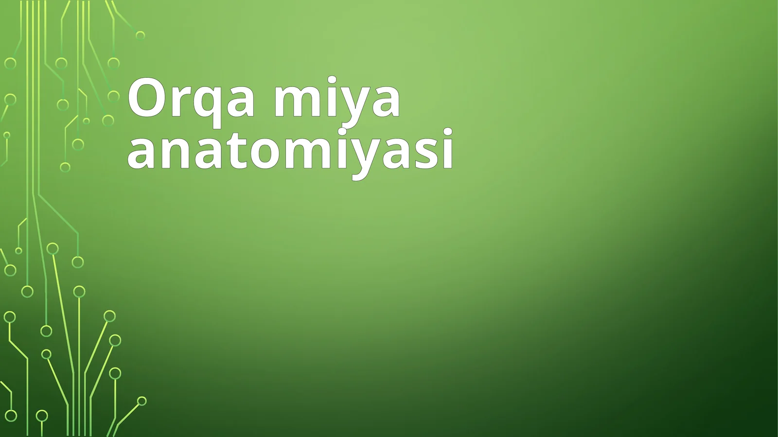 Orqa miya anatomiyasi
