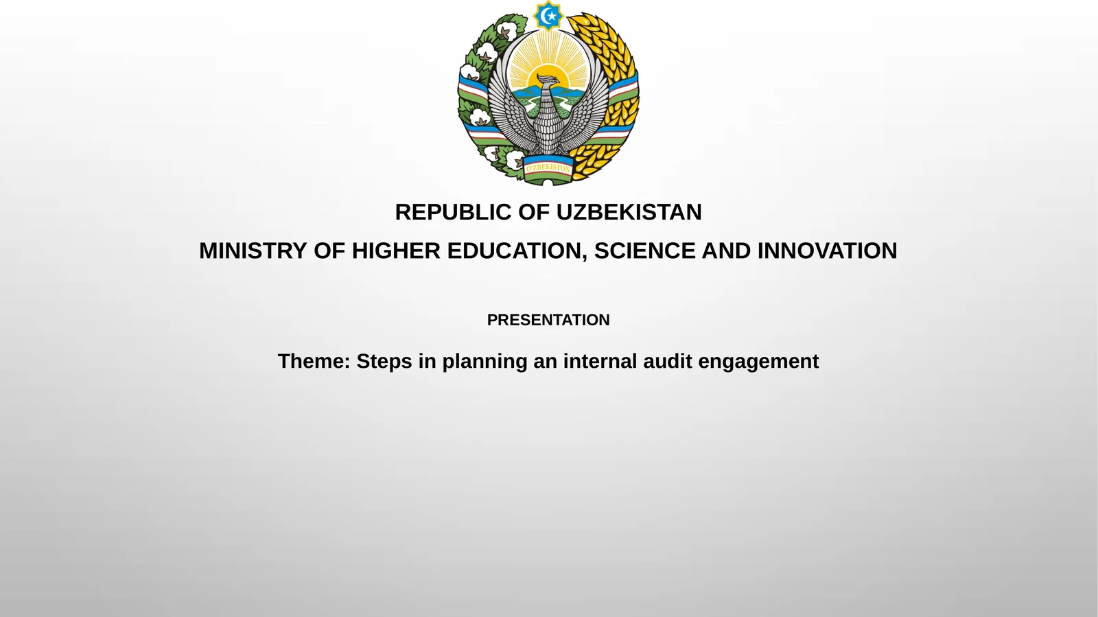 Steps in planning an internal audit engagement