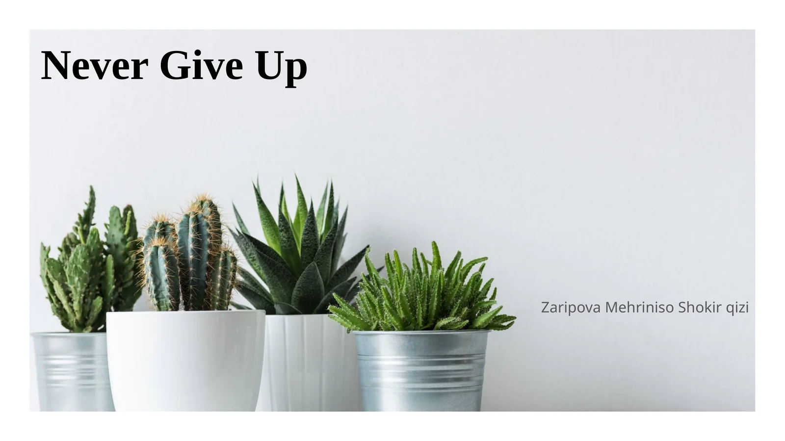 Never Give Up
