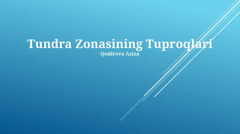 Tundra Zonasining Tuproqlari