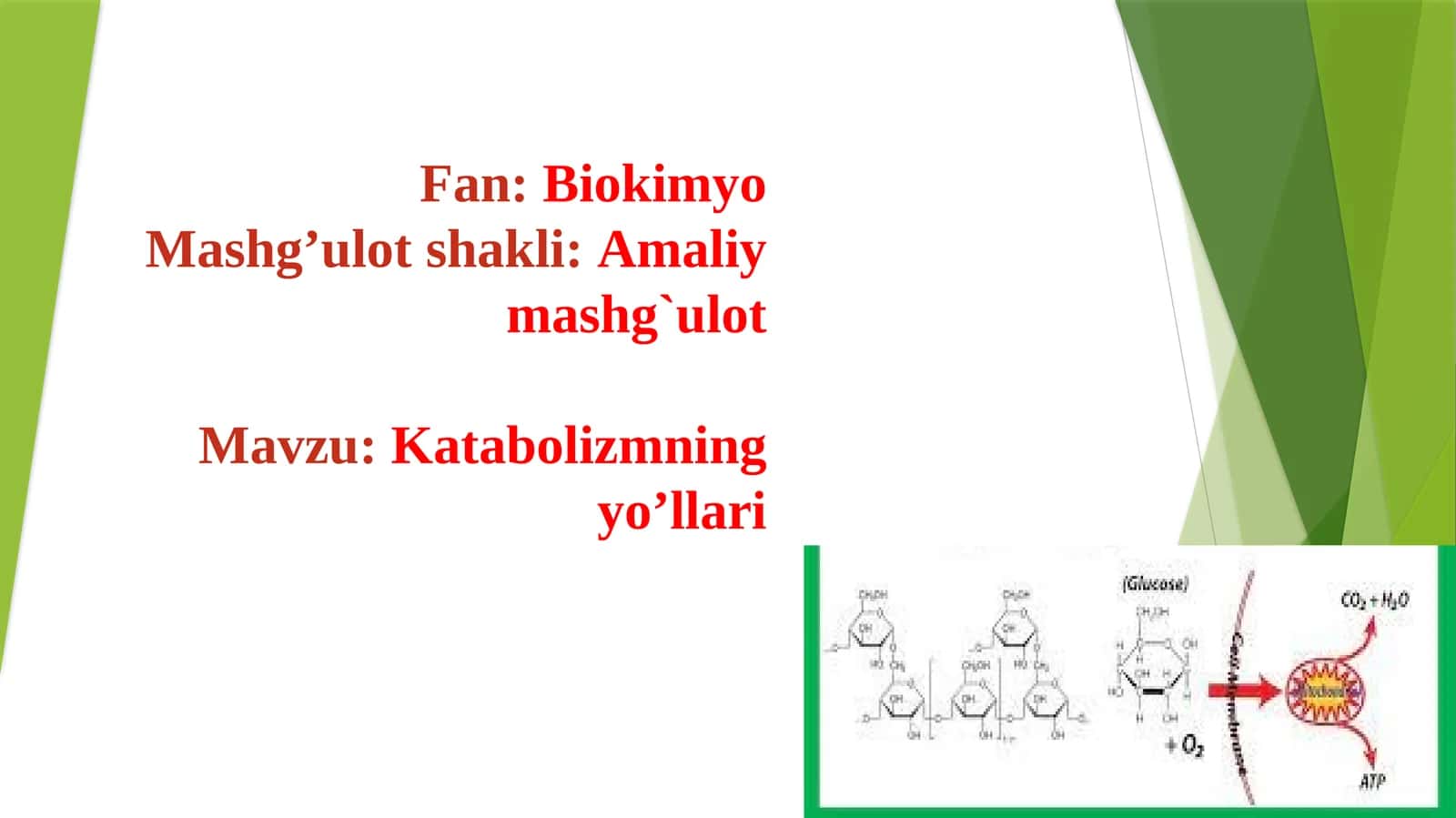 Katabolizmning yo'llari