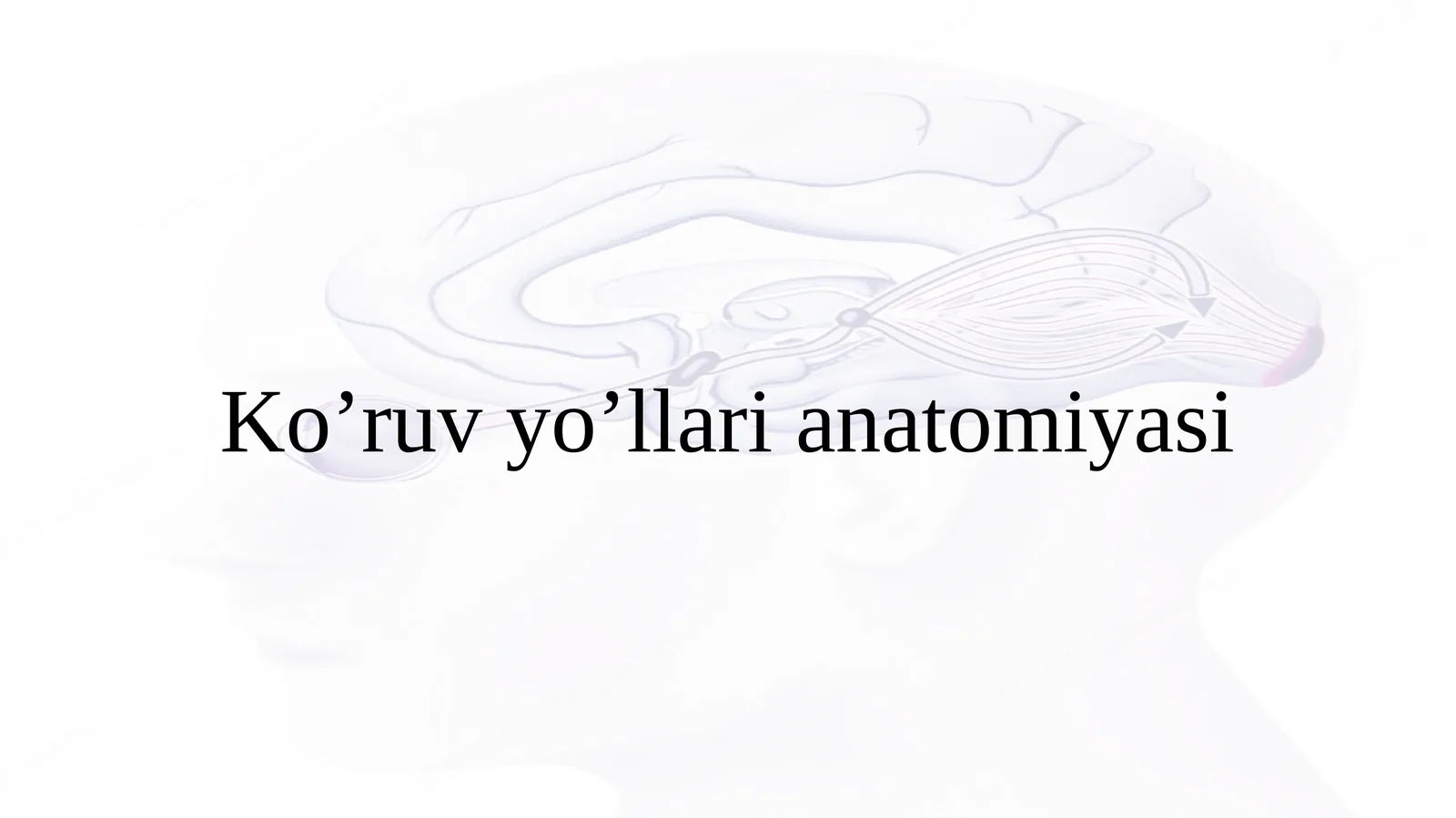 Ko'ruv yo'li anatomiyasi(Anatomy of vision pathways)