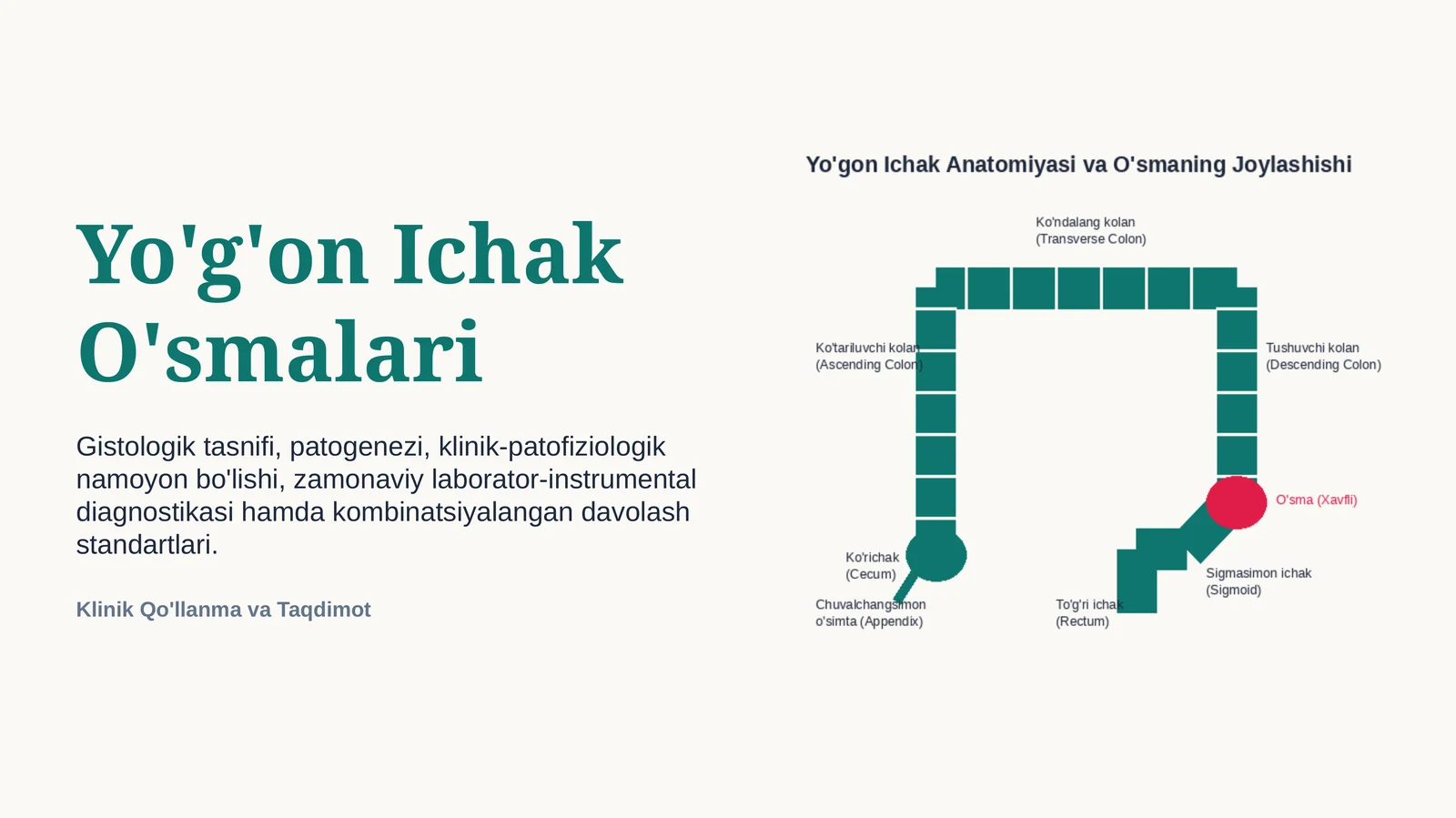 YO‘G‘ON ICHAK O‘SMALARI | 15 SLAYDLI PROFESSIONAL TIBBIY TAQDIMOT