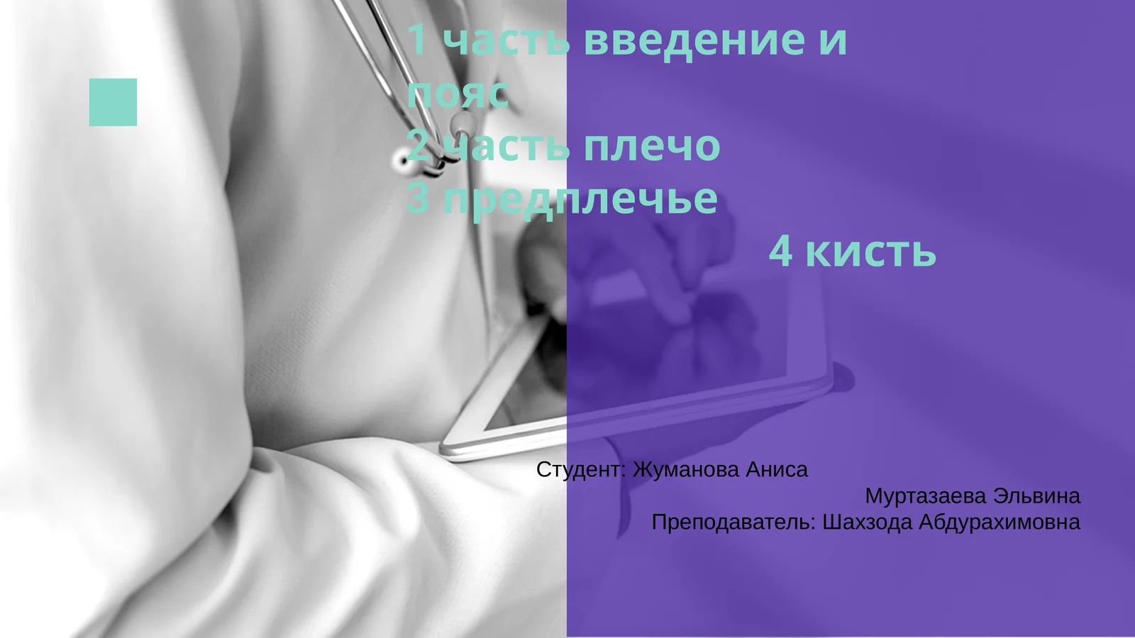 Анатомия плеча