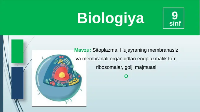 Sitoplazma