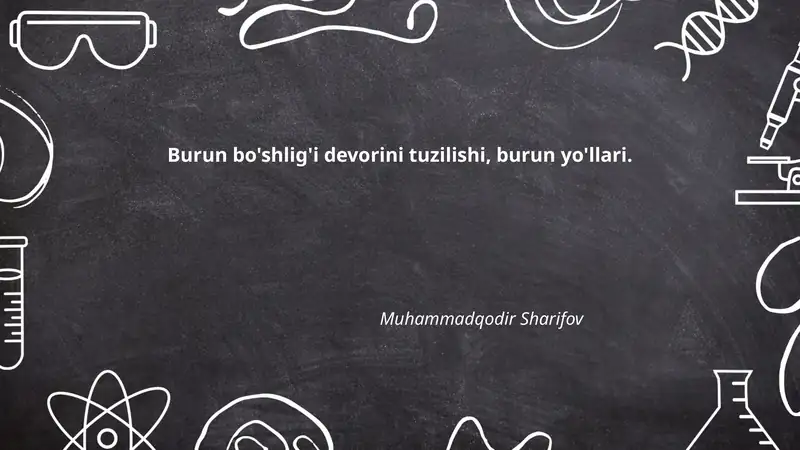 Burun bo'shlig'i anatomiyasi