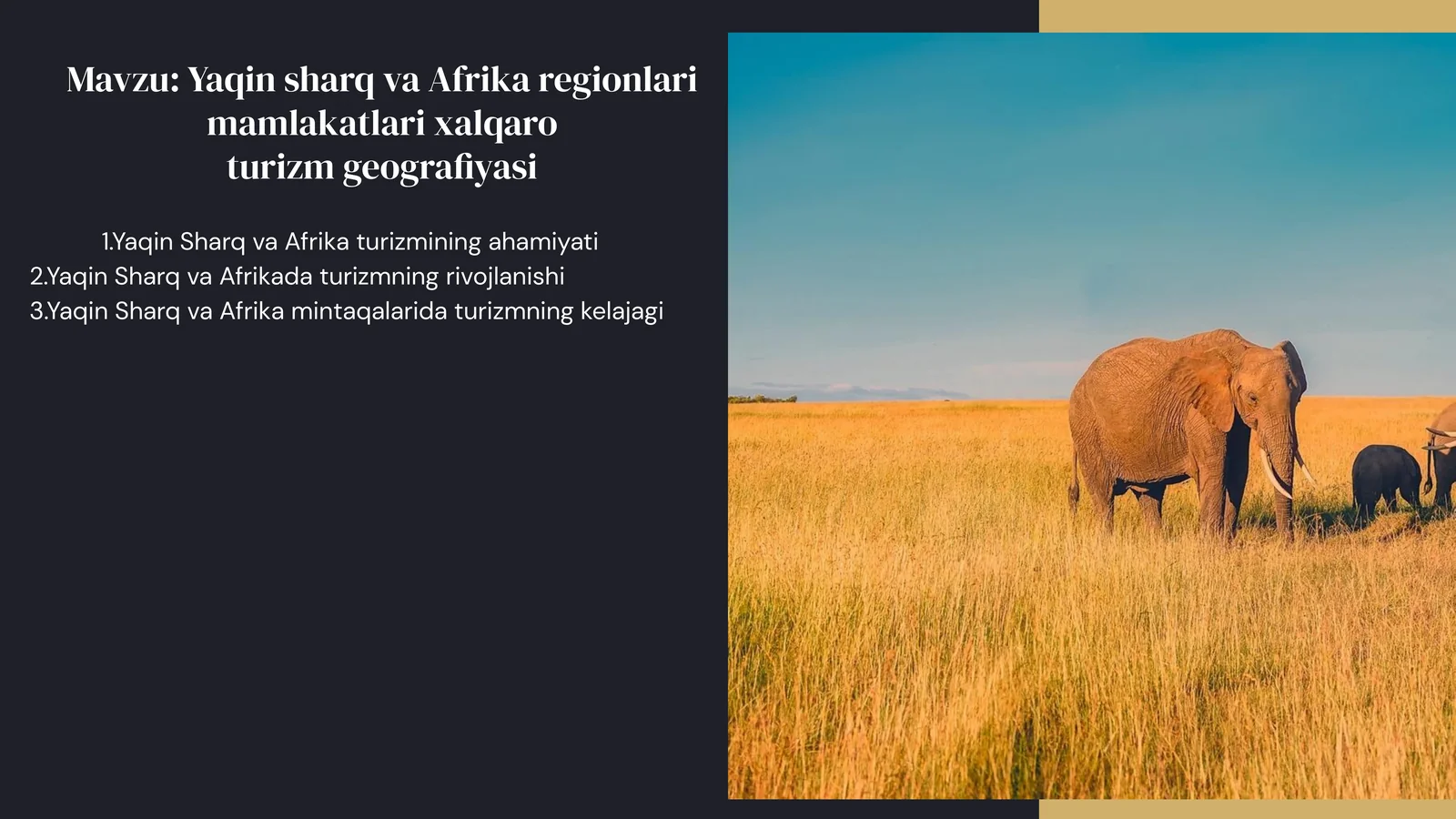 Yaqin sharq va Afrika regionlari mamlakatlari xalqaro turizm geografiyasi