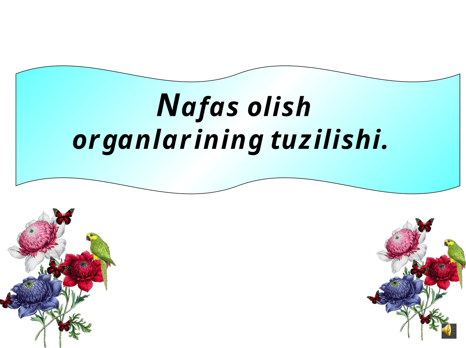 Nafas olish organlarining tuzilishi