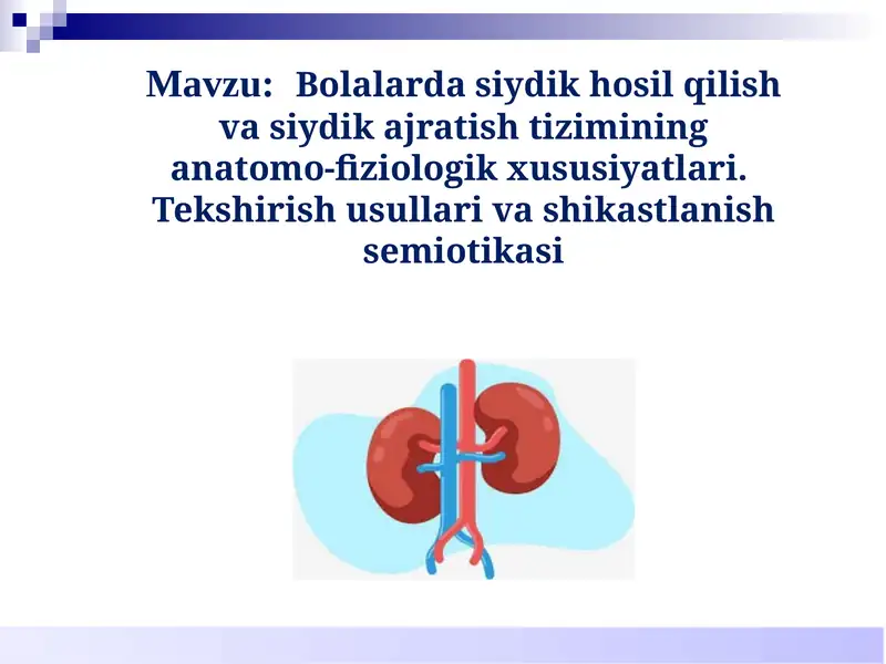 Bolalarda siydik hosil qilish va siydik ajratish tizimining anatomo-fiziologik xususiyatlari