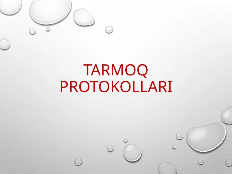Tarmoq protokollari