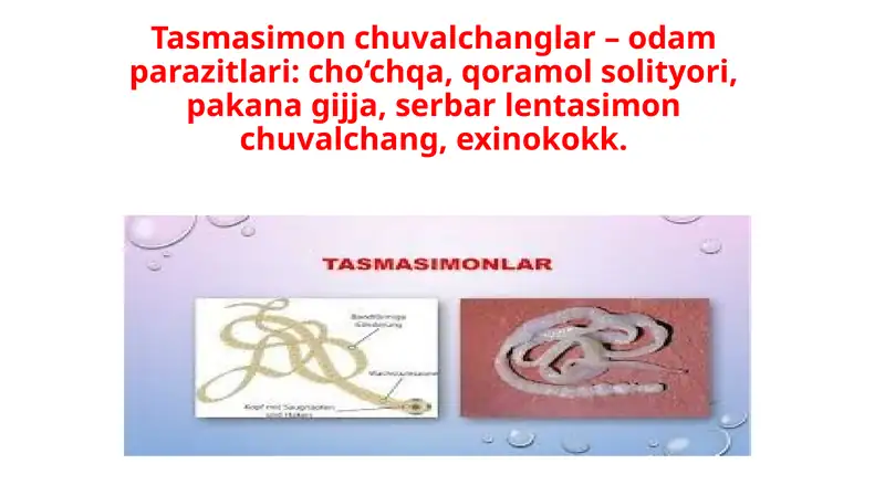 Tasmasimon chuvalchanglar–odam parazitlari