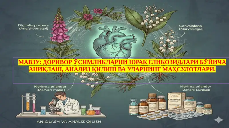 DORIVOR O‘SIMLIKLARNI YURAK GLIKOZIDLARI BO‘YICHA ANIQLASH, ANALIZ QILISH VA ULARNING MAHSULOTLARI.