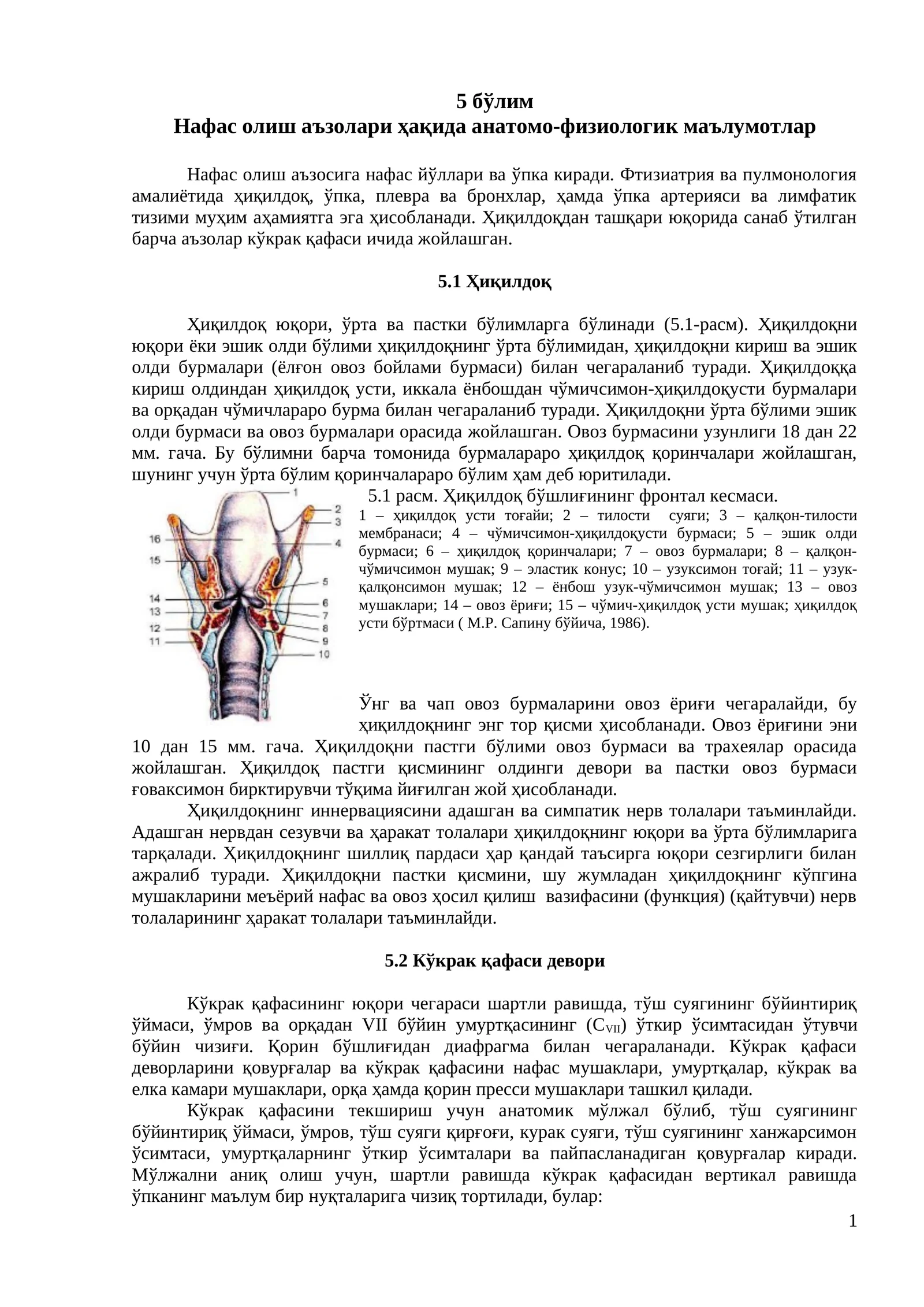 Нафас олиш аъзолари ҳақида анатомо-физиологик маълумотлар