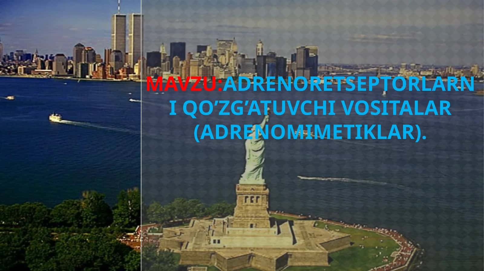 ADRENORETSEPTORLARNI QO’ZG’ATUVCHI VOSITALAR (ADRENOMIMETIKLAR)