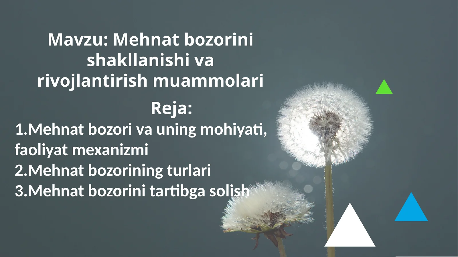Mehnat bozorini shakllanishi va rivojlantirish muammolari.