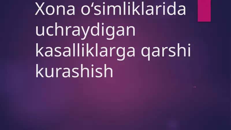 Xona o‘simliklarida uchraydigan kasalliklarga qarshi kurashish