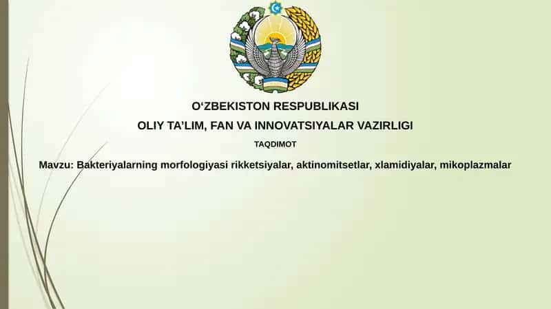 Bakteriyalarning morfologiyasi