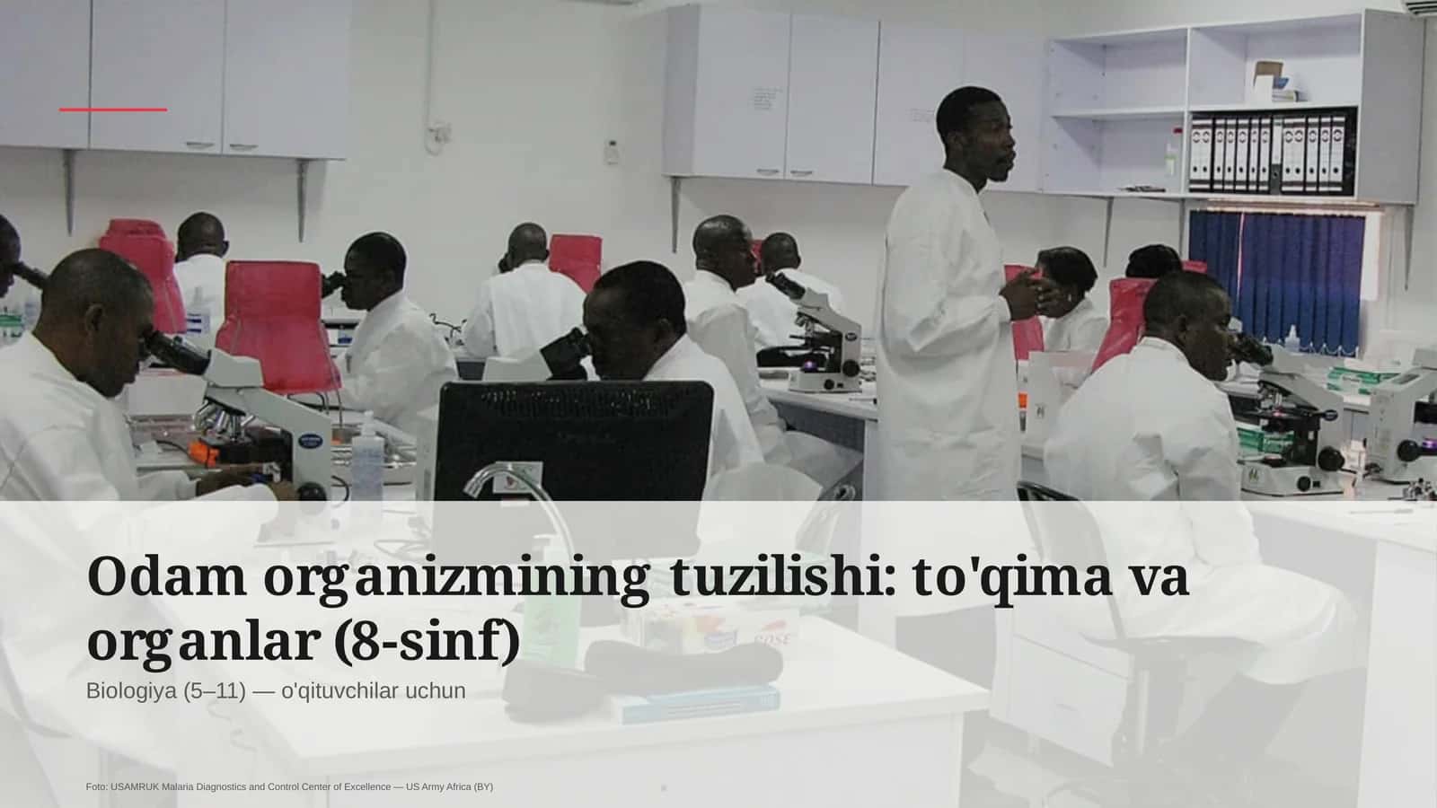 Odam organizmining tuzilishi: to'qima va organlar (8-sinf)