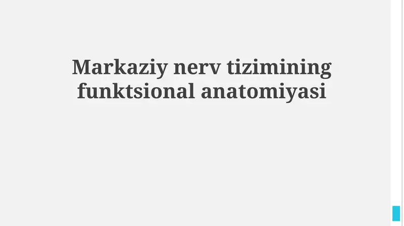 Markaziy nerv tizimining funktsional anatomiyasi