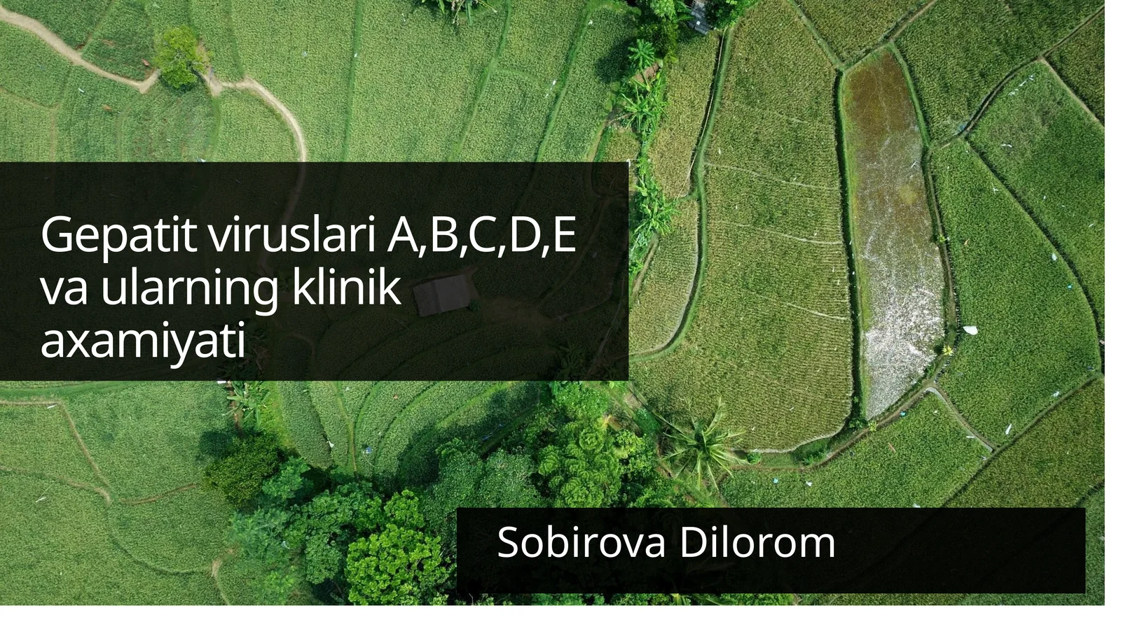 Gepatit Viruslari A, B, C, D, E Vaularning Klinik Axamiyati
