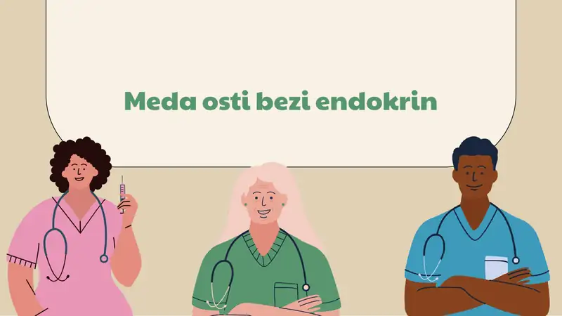 Meda osti bezi