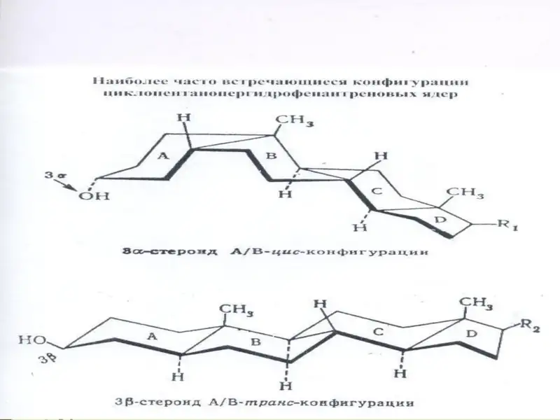 Sabunlanmaydigan lipidlar